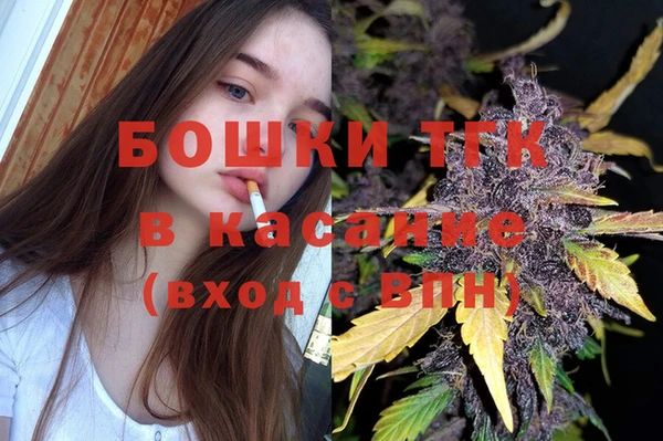 шишки Волоколамск