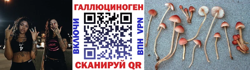 Галлюциногенные грибы Magic Shrooms  Беслан 