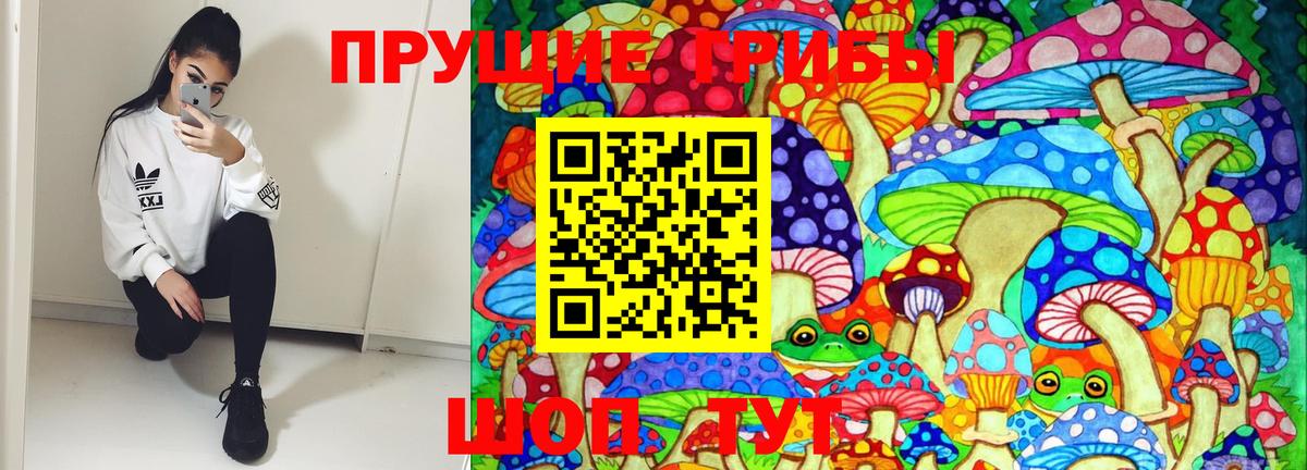 Галлюциногенные грибы Psilocybine cubensis Беслан